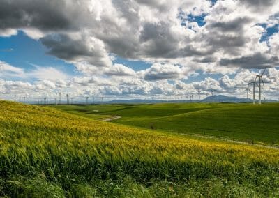 Sostenibilità, un termine abusato