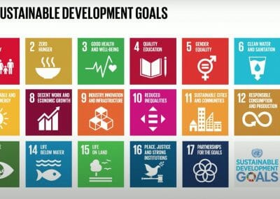 Do you know all 17 SDGs?