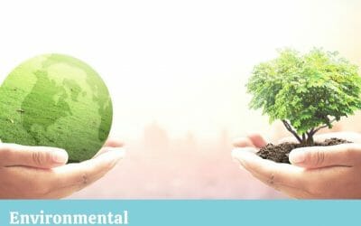 Environmental social and corporate governance -Percorso di certificazione ISB level 1