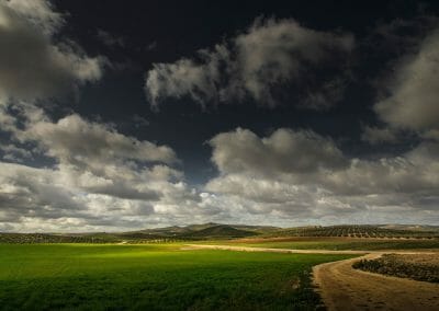 Cop26, ecco la bozza Onu per l’accordo finale del vertice