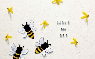 20 maggio- Giornata mondiale delle api