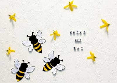 20 maggio- Giornata mondiale delle api