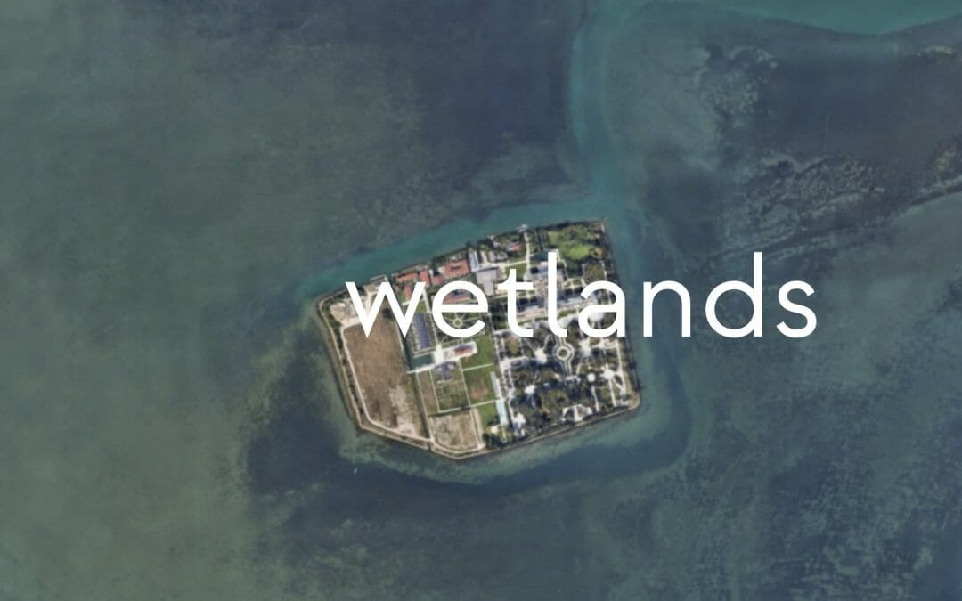 Wetlands, nuova casa editrice per sostenibilità e ambiente