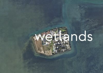 Wetlands, nuova casa editrice per sostenibilità e ambiente