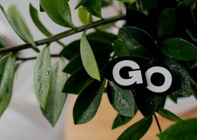 Società Benefit e B Corporation: nuovi orientamenti sostenibili di fare impresa