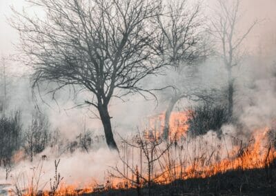 Cosa c’entrano i grandi incendi con il cambiamento climatico?