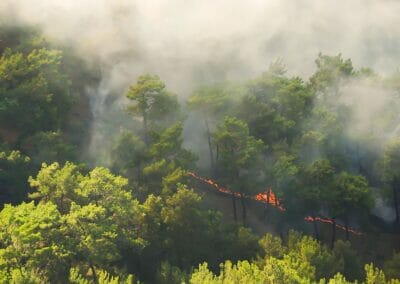 Cambiamento climatico, Onu: “Aumento degli incendi estremi del 50% entro il 2100. Bisogna investire maggiormente sulla prevenzione”