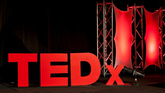 TED | The Sustainable Brilliance of Indigenous Design | Manu Peni |