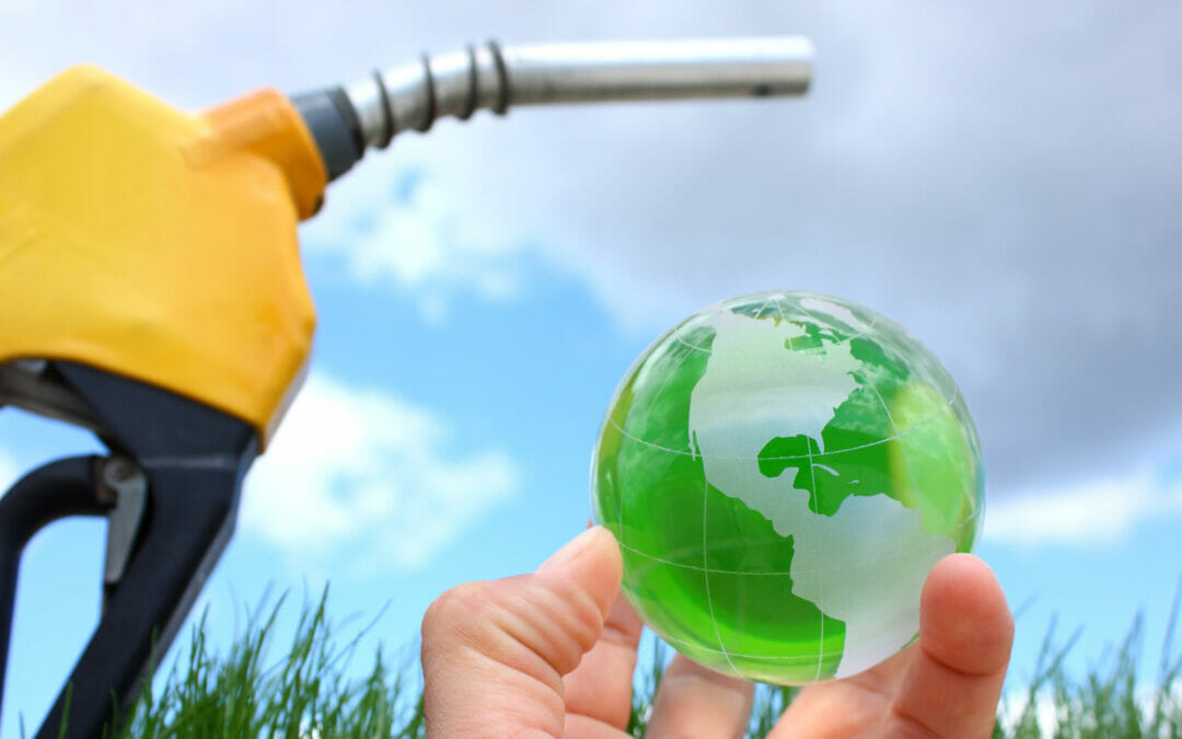 eFuel sostenibile: il carburante rinnovabile al 100% salva le auto termiche