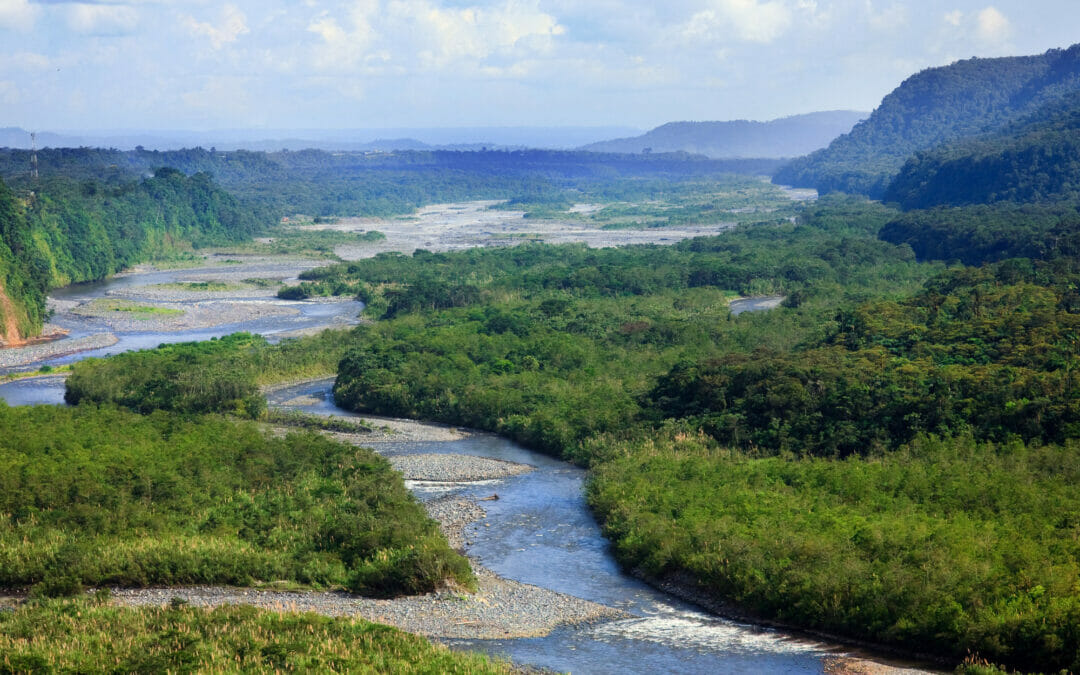Perché ci dobbiamo preoccupare del degrado dell’Amazzonia?