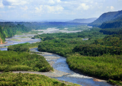 Perché ci dobbiamo preoccupare del degrado dell’Amazzonia?