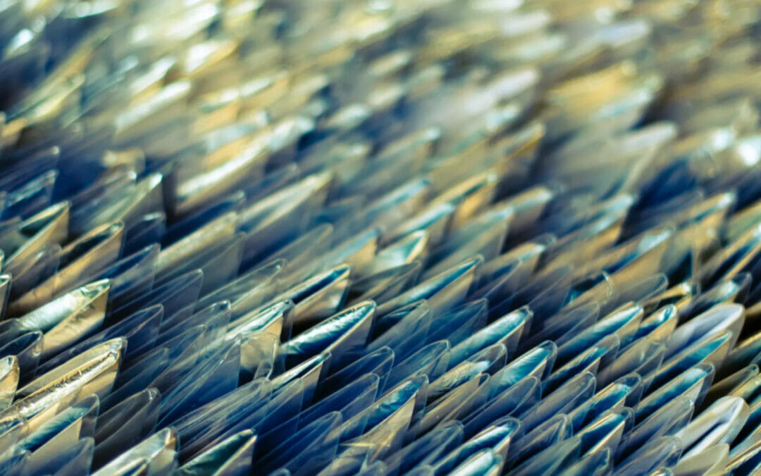 Le biomattonelle composte di squame di pesce