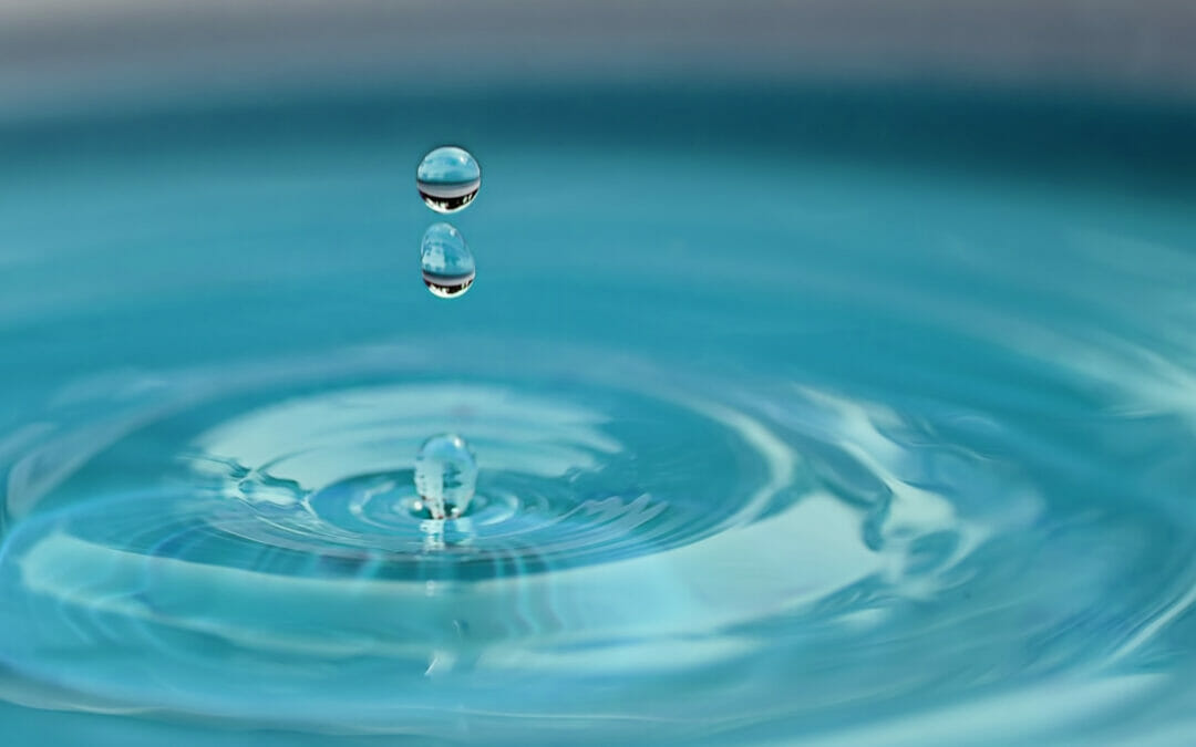 22 marzo Giornata mondiale dell’acqua