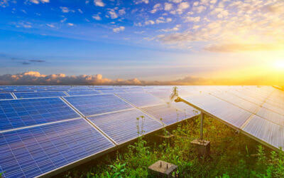 Perché il fotovoltaico in agricoltura è un’opportunità ?