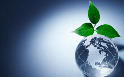 Imprese, a che punto siamo in Italia in tema di sostenibilità?