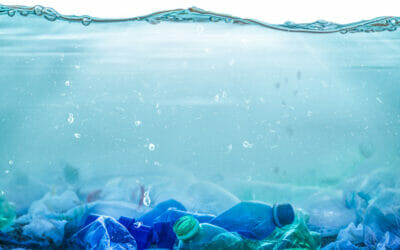 Il 5 giugno è la giornata mondiale dell’ambiente, dedicata alla lotta alla plastica