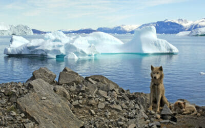 3B Meteo: si chiude la spedizione che documenta gli effetti del climate change in Groenlandia