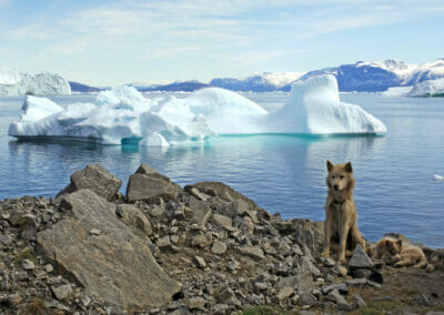 3B Meteo: si chiude la spedizione che documenta gli effetti del climate change in Groenlandia