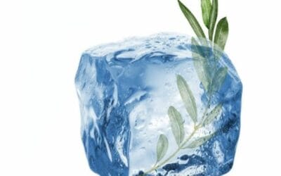 Water for Peace – Giornata Mondiale dell’Acqua 2024